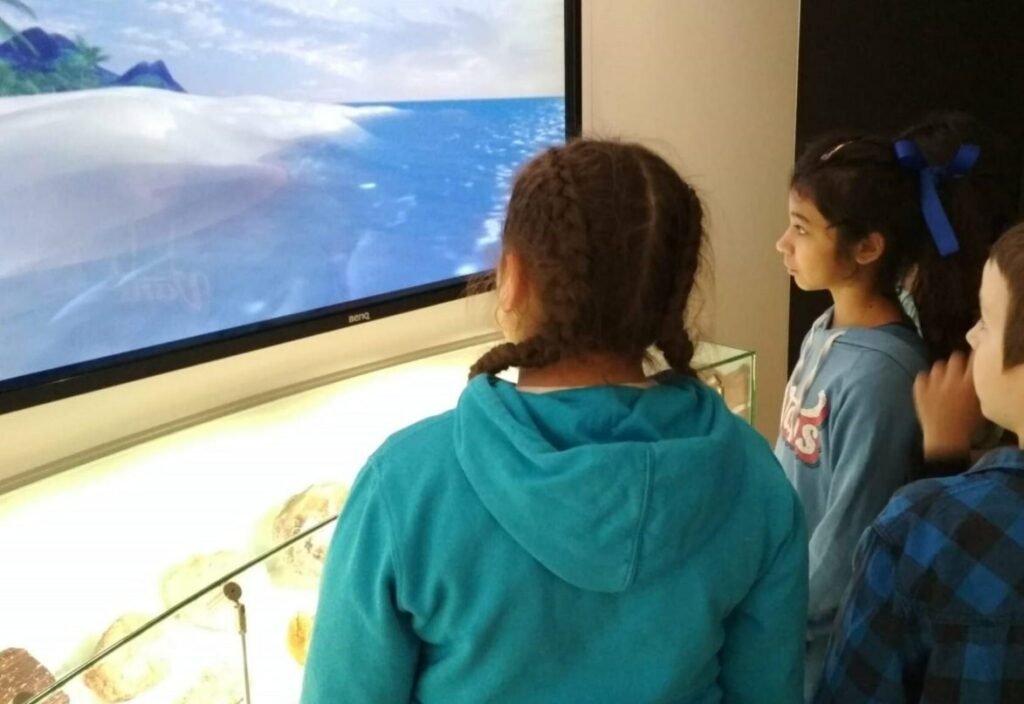 Žáci sledují dokument o dinosaurech